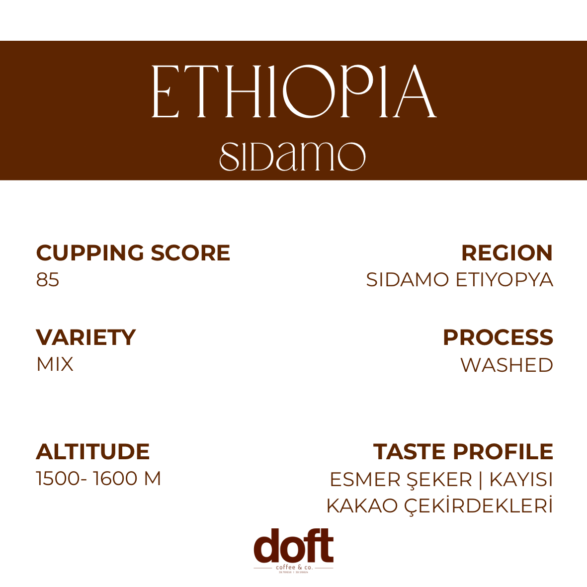 ETHIOPIA SIDAMO - Espresso